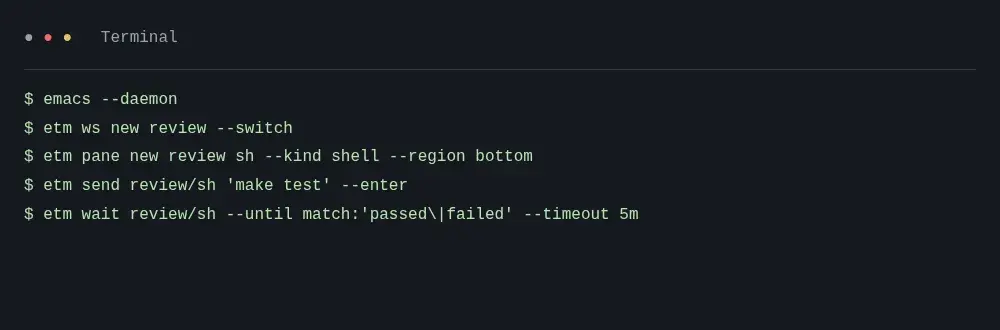 Terminal demo for etm